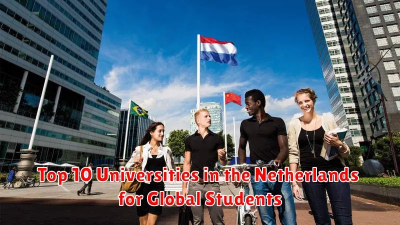 Top 10 Universities in the Netherlands for Global Students